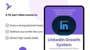 Jessie van Breugel – LinkedIn Growth System