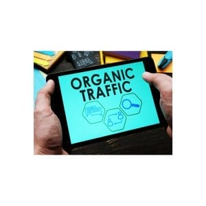 Organic Acceleration – How I turned $20 to 7 figs with Organic Traffic