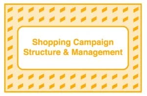 Take Some Risk – Shopping Campaign Structure and Management