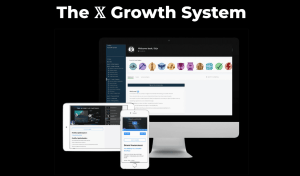 Stijn Noorman – The X Growth System